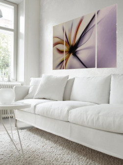 Minimalist White Sofa and Interior Design White Walls